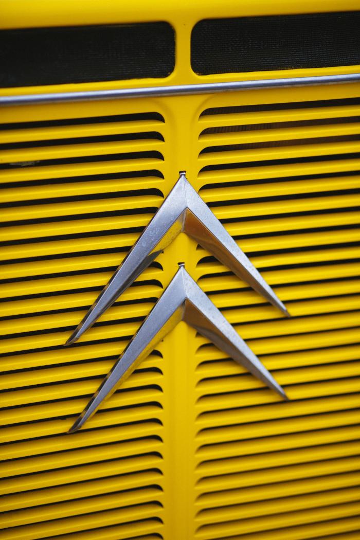 Citroen servisas Vilniuje. Citroen logotipas.